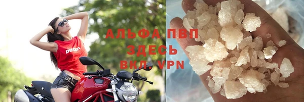 ПСИЛОЦИБИНОВЫЕ ГРИБЫ Медвежьегорск